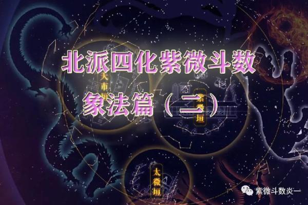 南北派紫薇斗数