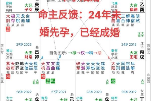 紫薇斗数好命盘