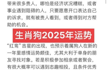 1994年生肖狗命的八字分析与运势预测