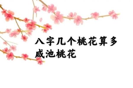 八字带桃花的特点有哪些方面呢