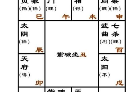 紫薇斗数入门更好的书