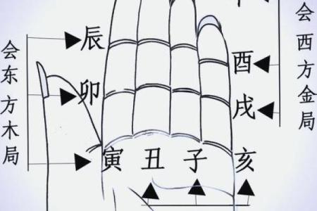 八字新手入门：三会局是什么？