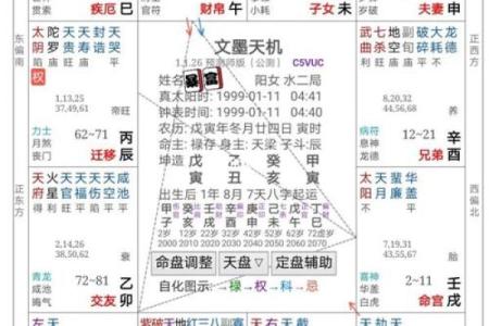 紫薇斗数星大全