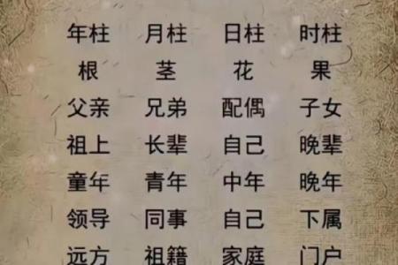四柱测八字