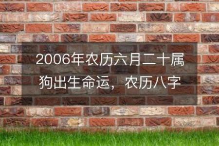 名字八字测命-详解命运起伏，预测人生河山
