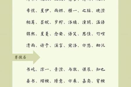 2019年4月21号丑时出生的男孩起名方法姓名