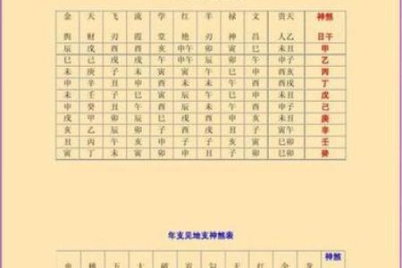 查八字命宫