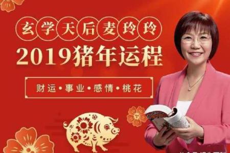 麦玲玲算八字,麦玲玲39元测运势准吗