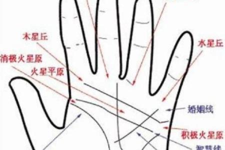 图解：手相手腕线算命