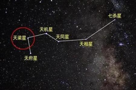 紫微斗数怎么确定紫薇星的位置