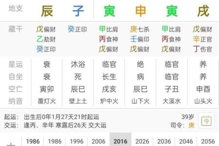 八字食神