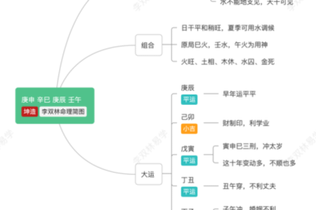 甲戌丙子己卯乙丑八字详解及运势分析