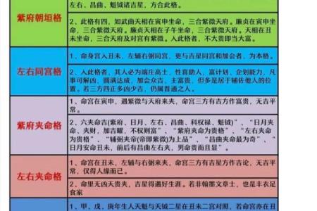 紫薇斗数定盘软件