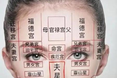 算命看面