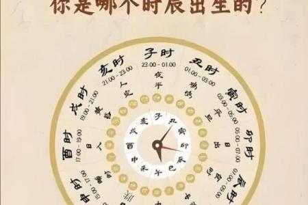 2019年3月31号卯时出生的女孩如何起名姓名