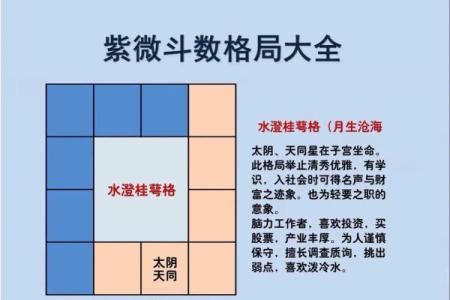 紫薇斗数特殊格局