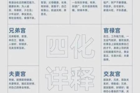 紫微斗数怎么生孩子 紫微斗数 生孩子？
