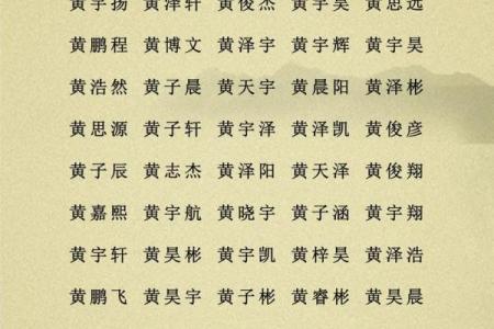 2019年6月3号卯时出生的男孩应该起什么样的名字姓名