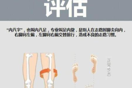 如何练八字马