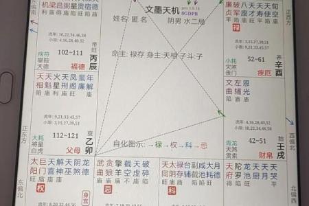 紫薇斗数双化科