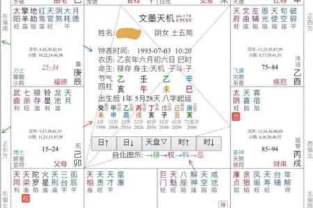 南北派紫薇斗数
