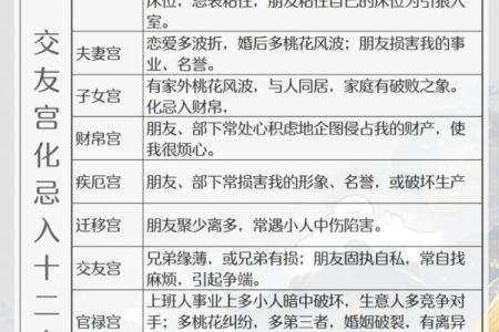 倪海厦紫薇斗数化忌结婚