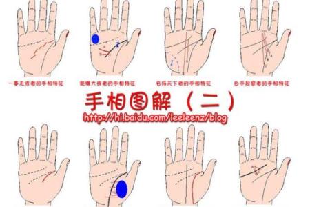 图解：手相纵欲线算命
