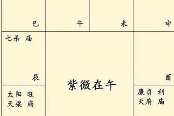 紫薇斗数和推背数