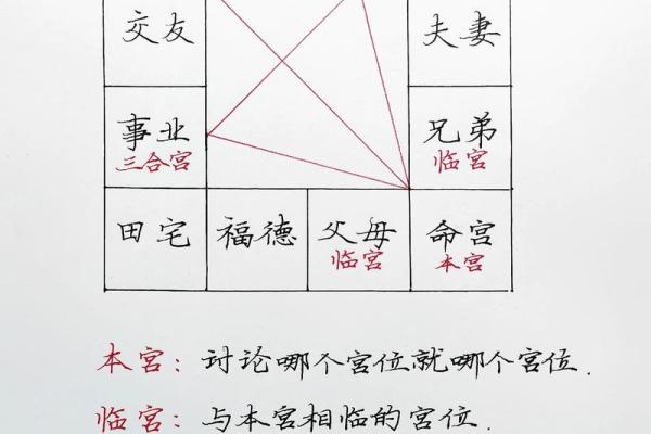 紫薇斗数算要付费