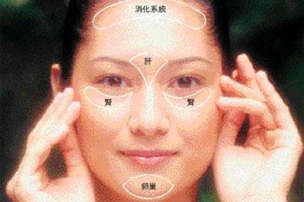紫薇斗数科名星