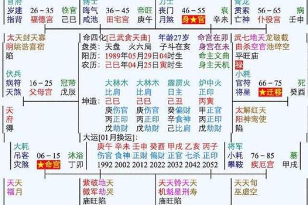 南辰紫薇斗数