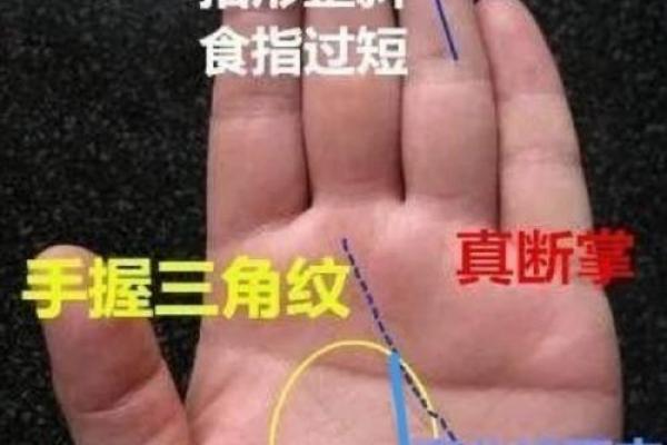 手相算命之十大手相富贵纹