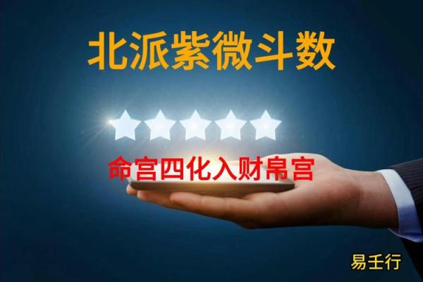 紫薇斗数博士入财帛