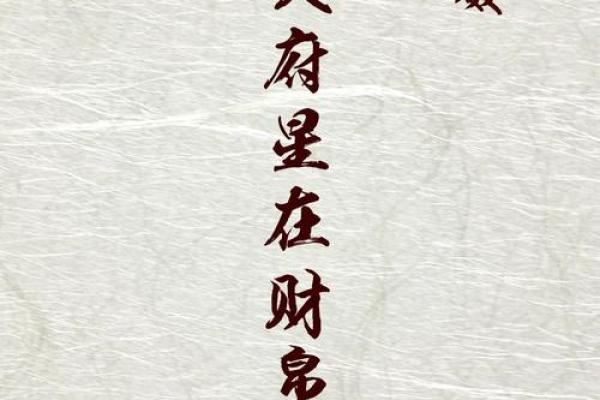 紫薇斗数博士入财帛