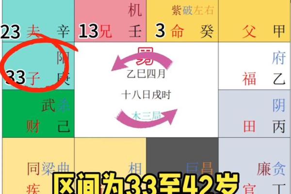 紫薇斗数限命