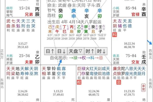 紫薇斗数空白