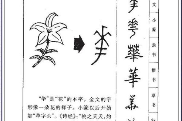 姓曾的名人-姓名学-华易算命网姓名