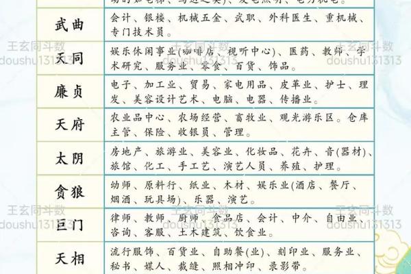 紫薇斗数看文化