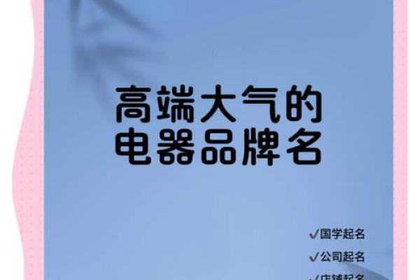 电器安装公司名字大全-名字大全姓名