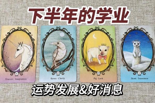 塔罗测试，下半年你的学业运势如何