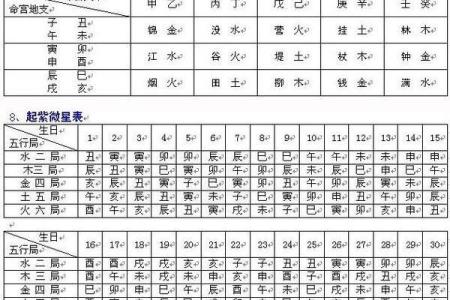 紫薇斗数财帛6