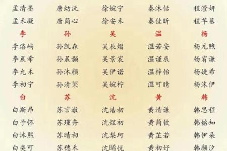 2019年5月19号丑时出生的男孩起名时要注意什么姓名