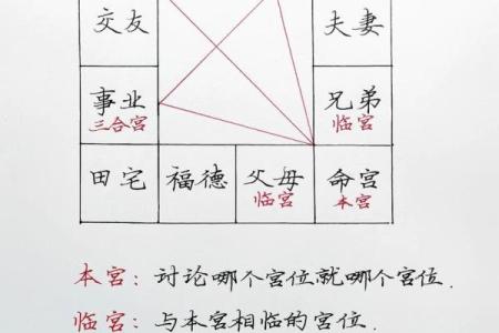 紫薇斗数算要付费