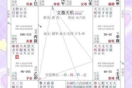 紫薇斗数中的年解