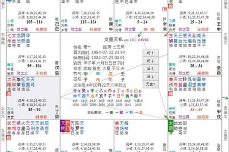 紫薇斗数中乾造