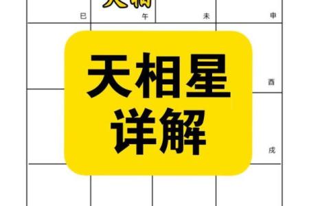 紫薇斗数官非星