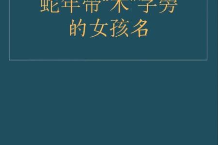木字旁的字大全-姓名学姓名