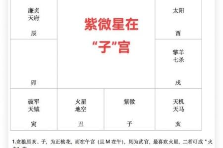 紫微斗数案例分享三：27岁的小伙子不要捡了芝麻丢了西瓜