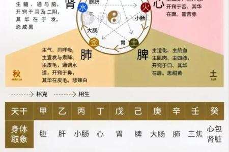 身体健康的四柱八字是什么