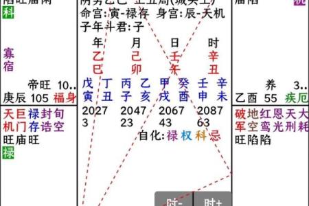 灵动紫薇斗数算命